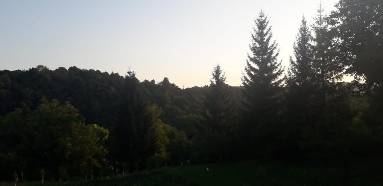 House Narta - Rastoke Lägenhet Slunj Exteriör bild